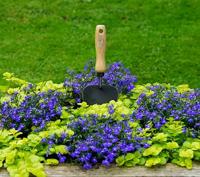 De Wit Potgrondschepje basic essen handvat 140mmdewit - thumbnail