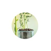 Wetenschapsspel Clementoni CLEMENTONI - thumbnail