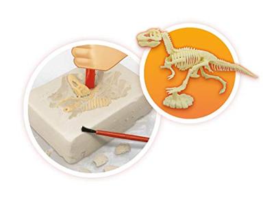 Vulkanen en dinosaurussen BUKI rood