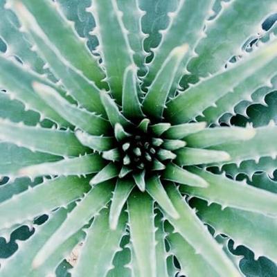 Patrice Mulato - P. Mulato Flow'Air Micellar Jelly 180 ml Maskers Patrice Mulato - P. Mulato Flow'Air Micellar Jelly 180 ml Maskers