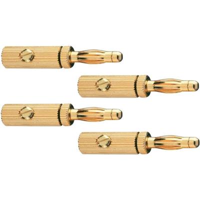 Oehlbach 3009 Luidsprekerconnector Stekker, recht Aantal polen: 1 Goud 4 stuk(s) Oehlbach 3009 Luidsprekerconnector Stekker, recht Aantal polen: 1 Goud 4 stuk(s)