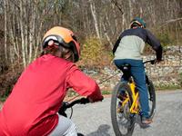 TRAX pro towing system - thumbnail