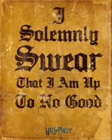 Harry Potter I Solomnly Swear Poster 40x50cm - thumbnail