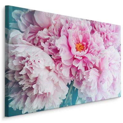 Schilderij - Pioen rozen , print op canvas, premium print , Wanddecoratie