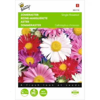 Zaden Callistephus Zomeraster enkelbloemig gemengd Buzzy - Buzzy