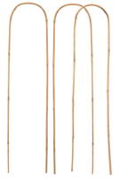 Connex Plantensteun 60X15Mm Bamboeboog 3St - FLOR78330 - thumbnail