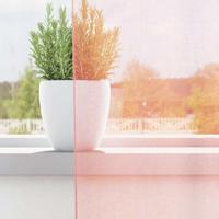 Gordijnen voile met roedezakken 2 st roze - thumbnail