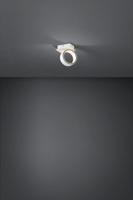 Stars of Light SpotAlbariza - 39584 - thumbnail