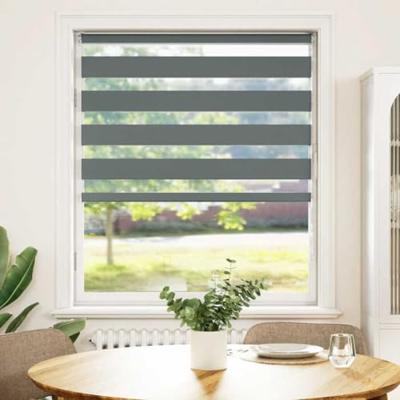VidaXL Zebra rolgordijn 105x100 cm stofbreedte 100,9 cm donkergrijs