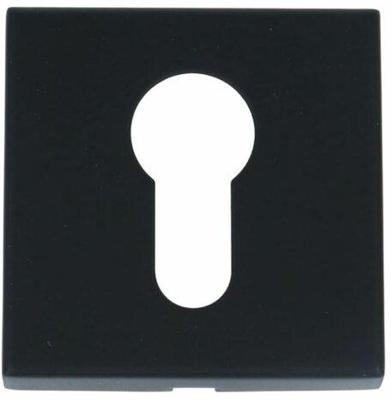 Formani BSQY53 BASICS cilinderplaatje pvd gunmetal