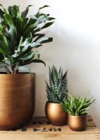 Capi Pot bol Retro 24x21 goud - thumbnail