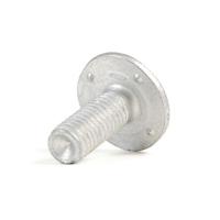 Gloria Schroef - thumbnail