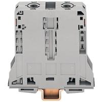 WAGO 285-195 Doorgangsklem 25 mm Spanveer Toewijzing: L Grijs 1 stuk(s) - thumbnail