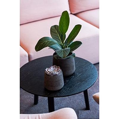 Pottery Pots Bloempot Patt M Ø16,5x14cm - Black Washed