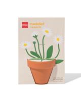 HEMA Potje Met Zaden - Madeliefje - thumbnail