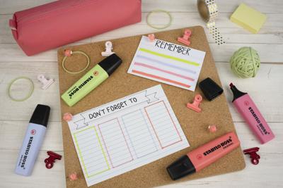 Markering Stabilo Grijs (10 Stuks)