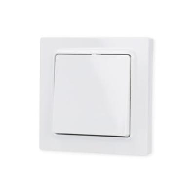 Eltako WT55E-wg Toets Inbouw (in muur)