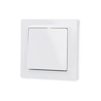 Eltako WT55E-wg Toets Inbouw (in muur) - thumbnail