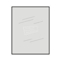 Spiegels 5Mm Rechthoek 50x40 - thumbnail