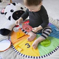 BABY EINSTEIN Zen's Activity Milestones speelkleed met houten staaf, multisensorisch speelgoed, vanaf de geboorte - thumbnail