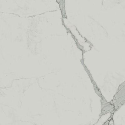 Exigo Statuario gepolijst 60x60 rett
