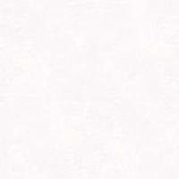 Galerie Natural FX 2; TopChic 2023-2025 Behang met crocoprint - G67508 - thumbnail