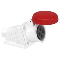 Schneider Electric PKF16W735 PKF16W735 CEE-wandcontactdoos 16 A 415 V 1 stuk(s) - thumbnail