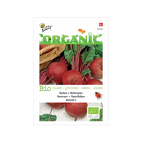Zaden Organic Bieten Detroit 2 (BIO) Buzzy - Buzzy - thumbnail
