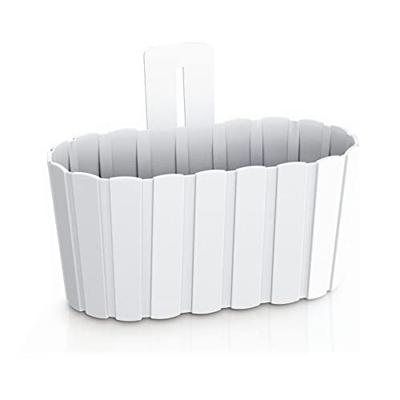 Prosperplast Muur plantenpothoutlook - 20 x 15 cm - parel wit