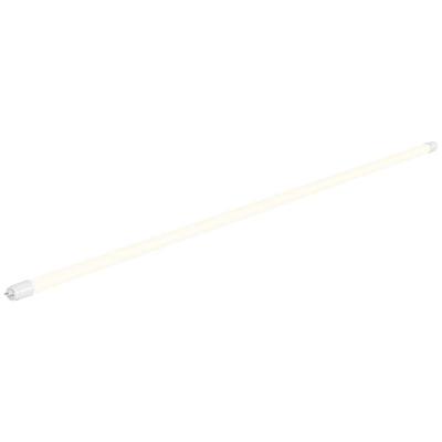 SLV LED-buis- Energielabel: E (A - G) G13 T8 24 W Neutraalwit 1 stuk(s) (Ø x l) 28 mm x 1510 mm