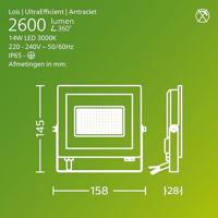 Philips LED Lois 929004642801 LED-buitenschijnwerper 14 W Lichtkleur (naam): Warmwit - thumbnail