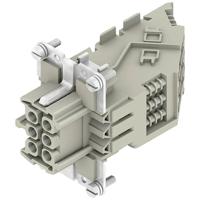 Weidmüller DSTV HE BR6 S 1848600000 Codeerelement 10 stuk(s) - thumbnail