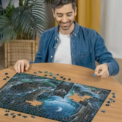 Escape 7 Curse of the Wolves Puzzel