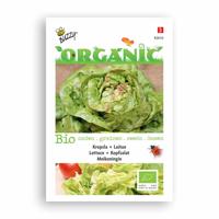 Biologische Kropsla Meikoningin - thumbnail