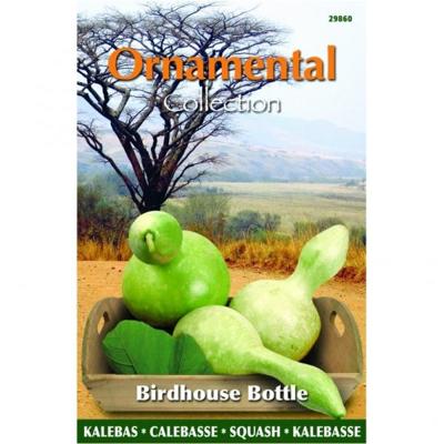 Zaden Ornamental Gourd Birdhouse / Bottle (Lagenaria leuc.) Buzzy - Buzzy
