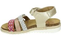 Develab 44334 - alle - thumbnail