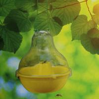 Wespenvanger Plastic Geel Ø17cm - thumbnail