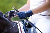 Roeckl Lorraine Handschoen zwart maat:8.5 - thumbnail