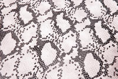 Extreme Buddydek cobra | peugeot speedfight 1 / 2