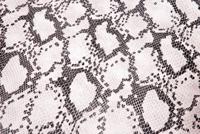 Extreme Buddydek cobra | peugeot speedfight 1 / 2 - thumbnail