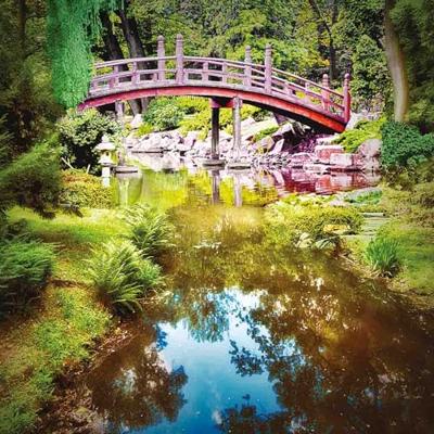 Notitieboek Cherry Blossom