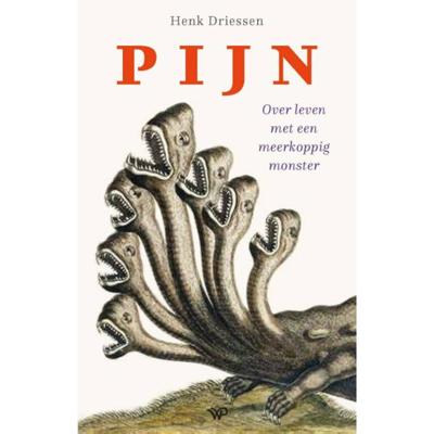Pijn - Henk Driessen - Paperback (9789462497030)