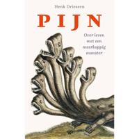 Pijn - Henk Driessen - Paperback (9789462497030) - thumbnail
