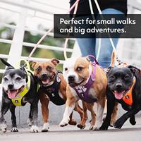 Gewatteerd Hondenharnas Weekend Warrior Zwart Maat 3 80-100 Cm - thumbnail