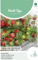 Zaden Bosaardbei - Baron von Solemacher Hortitops - Hortitops - thumbnail
