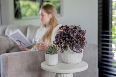 Pot bol blocks d24h21cm zwart/goud