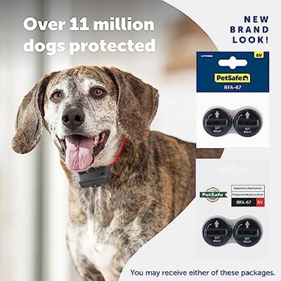 PETSAFE 6 V batterijmodule voor ketting - voor kat en hond - thumbnail