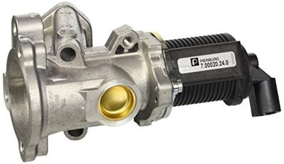 EGR-klep 700020240