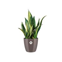 Elho brussels diamond bloempot rond 25 cm oyster pearl - thumbnail