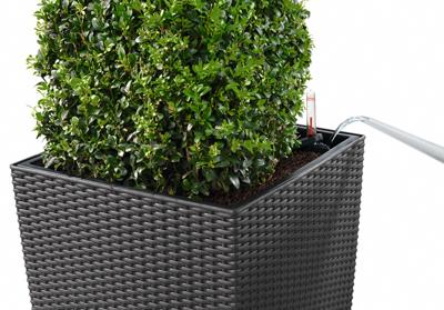 Plantenbak - Kubushuisje 40 - Complete set - Graniet - 31 L - LECHUZA